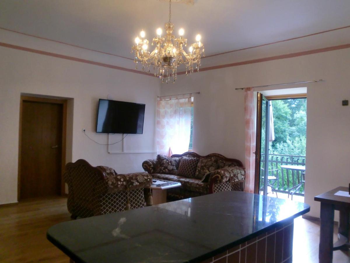 Garten- & Loggia-Appartement Herrenhaus Dellach im Drautal 外观 照片